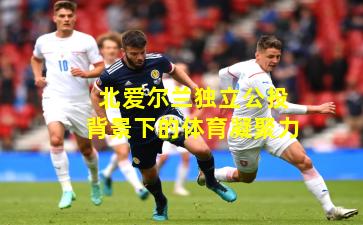 北爱尔兰独立公投背景下的体育凝聚力