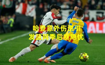 哈登意外伤退引发篮网季后赛隐忧