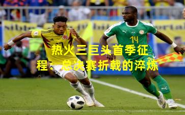 热火三巨头首季征程:总决赛折戟的淬炼